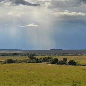 acomp Kenia 20111018 20765