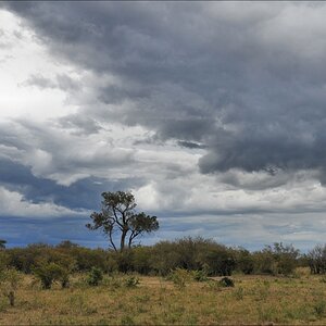 acomp Kenia 20111018 20895