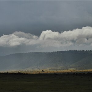 acomp Kenia 20111019 24848aa