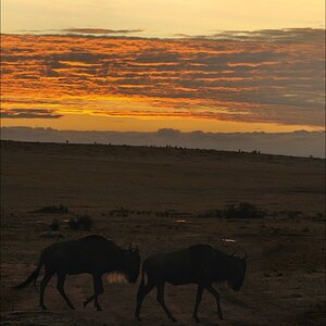 acomp Kenia 20111020 26013