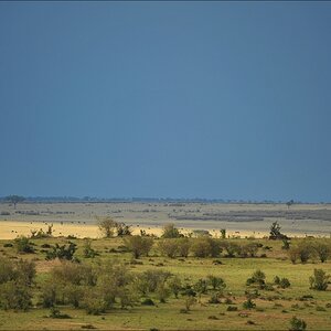 acomp Kenia 20111020 26592a