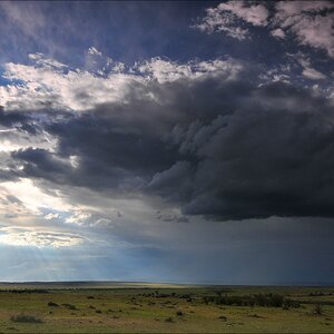 acomp Kenia 20111020 26915a