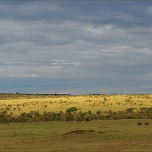 acomp Kenia 20111020 26955