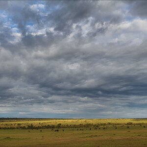acomp Kenia 20111020 26958a