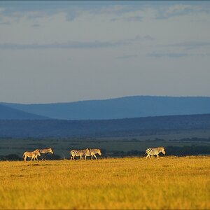 acomp Kenia 20111021 29075