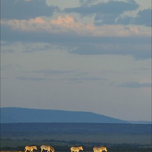 acomp Kenia 20111021 29076