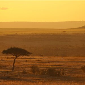acomp Kenia 20111021 29149