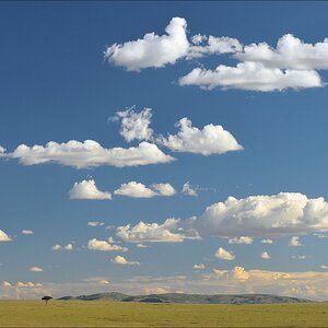acomp Kenia 20111021 29258