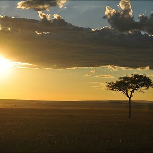 acomp Kenia 20111021 29303