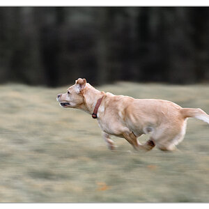 running fast 2