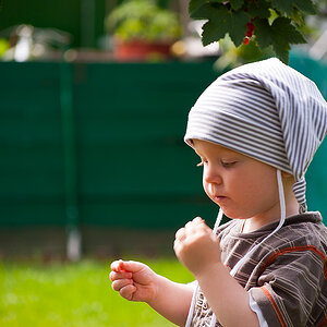 im Garten
