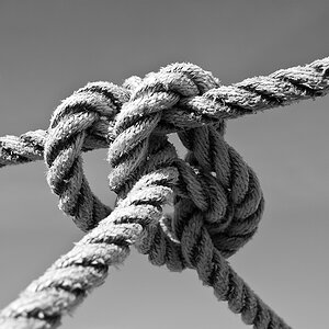Knoten