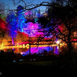 Parkleuchten 2011