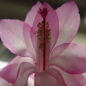 DSC01036