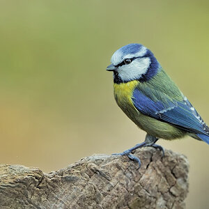 Unknown000112xx 1