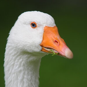 Zoo Wismar