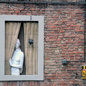 fenster 01