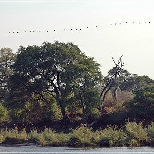 DSC 3620