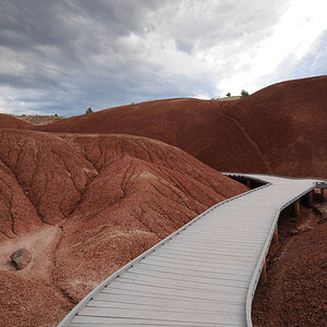 D33 8877 Painted Desert - Painted Cove Trail