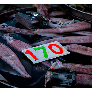 food 1016338