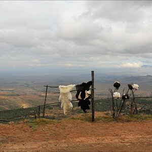acomp Kenia 20111011 00033