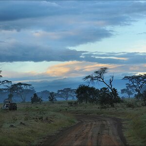 acomp Kenia 20111012 02051a