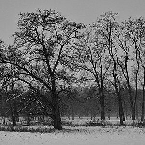 Erster Schnee