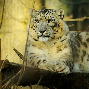 20120115 08 Zoo Rostock