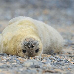acomp Helgoland 20120101 10463