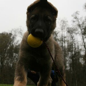 Abocci mit Ball