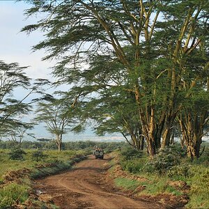 acomp Kenia 20111012 04859