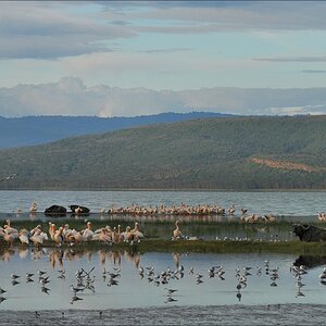 acomp Kenia 20111012 05259aa