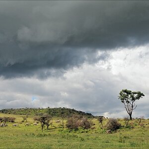 acomp Kenia 20111012 05170