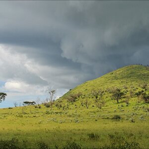 acomp Kenia 20111012 05194