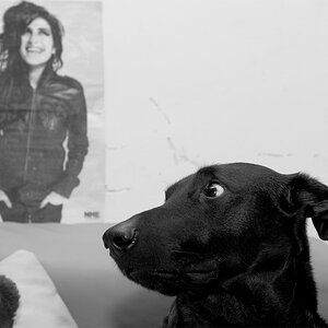 Amy und Ich