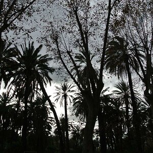 Palermo
