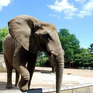 Zoo Magdeburg
