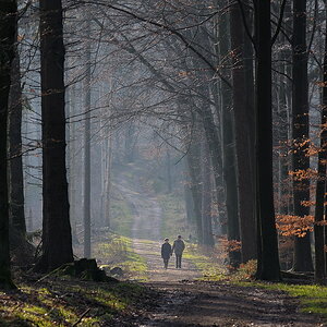 DSC 8094 bearbeitet klein
