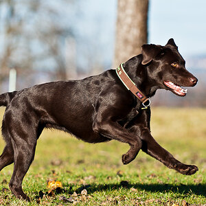 20120103 DSC 7467