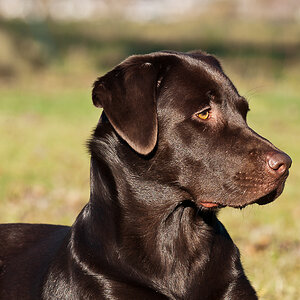 20120103 DSC 7525