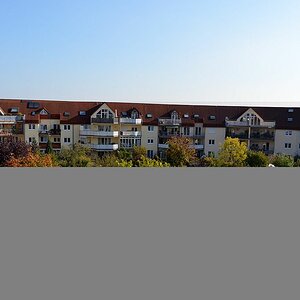 DSC 0013