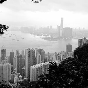 NF Hongkong 12