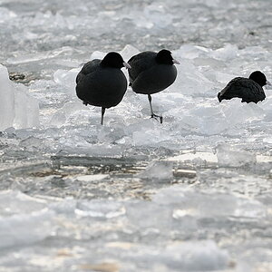 2012 02 12 17 11 44 D30 4592 copy