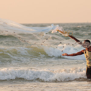 Fisherman