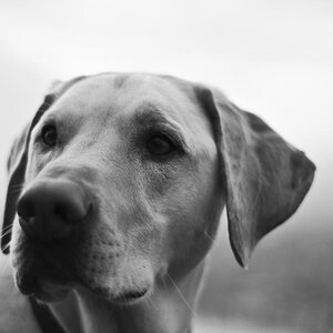 Murphy SW