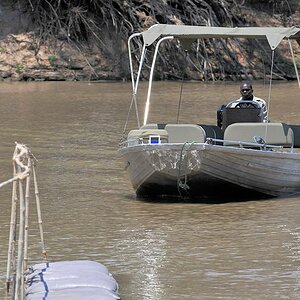 Mit dem Boot werden wir über den Luangwa zum Nkawli Camp übergesetzt.
7297