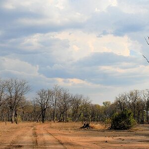 Auf dem Weg vom Nkawli Camp zum Luangwa
3598