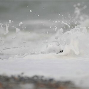 acomp Helgoland 20111231 6627