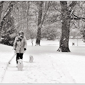 Winter im Schrevenpark - "Gassigehn"