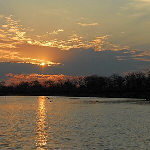 Sonnenaufgang am Luangwa
3726